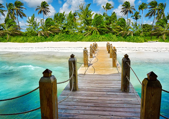 dock to the beach