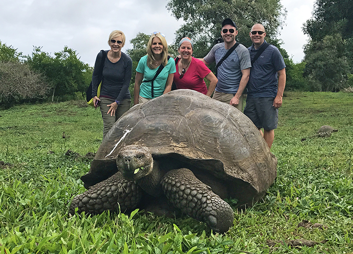 giant tortoise